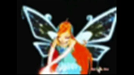 Club winx
