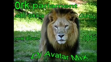 ork.parlament gunay sali okka tallava 2012 Dj Avatar Mix