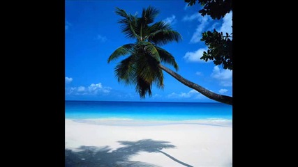 Relax Dj Shah - Palmarosa (totall Chill Mix)