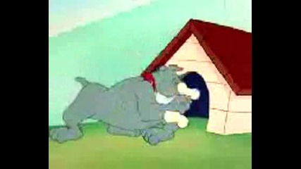 Tom And Jerry