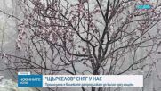 Сняг заваля в Троянско и на проходите Петрохан и Превала