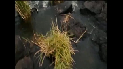 Apocalypto Slipknot - Before I Forget Music Video