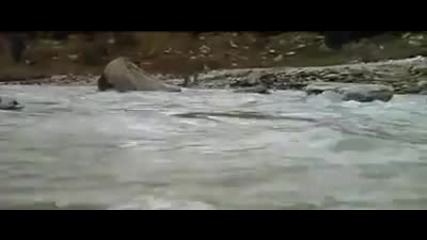 Законите на природата