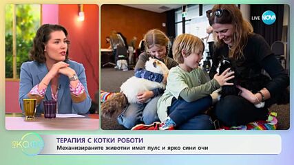 Терапия с котки-роботи: Механизираните животни имат пулс и яркосини очи - „На кафе“ (29.05.2025)