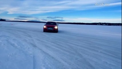 Красота стил и мощ събрани в едно