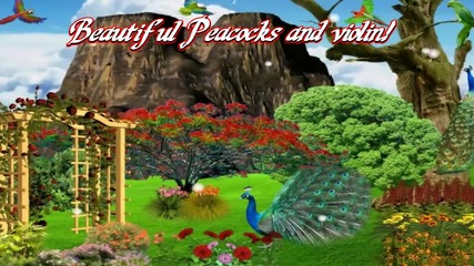 ** Beautiful Peacocks and violin! ... (painting and pictures) **