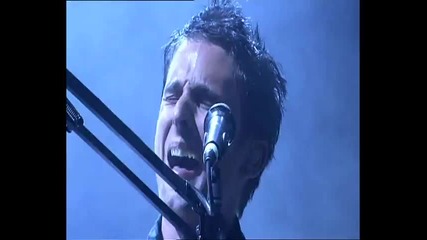 muse- new born