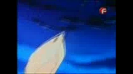 Superman.011.tvrip.xvid.bgaudio - Redneck.3gp