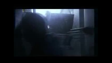 Един ден това ще се Случи Свят Без нефт(последици) част1