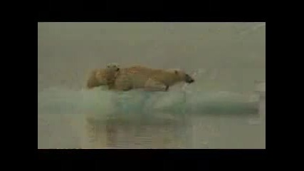 Wwf - for a living planet