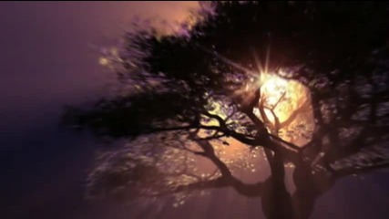 The most relaxing music Ever by Paul Collier