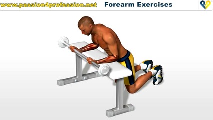 Arms exercises - Forearm 1