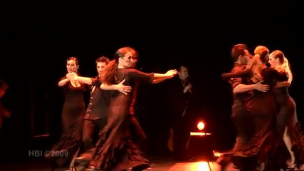 Латино, Chico Castillo The Gipsy - Flamenco Gipsy Fusion - Show - Miami 2009
