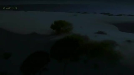 Emotional Music Nature Touch - Wings of Life