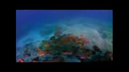 Sami Yusuf - Eid Song