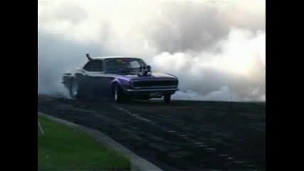 Mustang