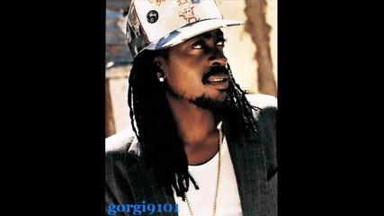 Beenie Man - Run Mi Down (remix)