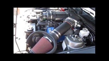 Ford Mustang Gt500 Shelby Super Snake