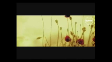 * N E W * Sisu - Din toate florile (official Video) 