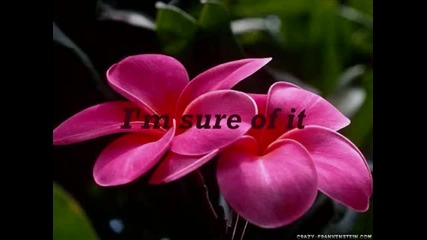 Priscilla Ahn Wallflower lyrics