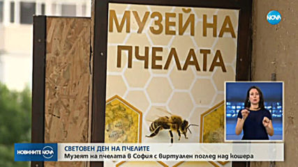 Експерти: Десетки видове пчели са застрашени от изчезване