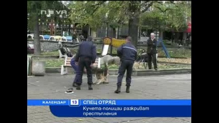 Кучета - полицаи разкриват престъпления 
