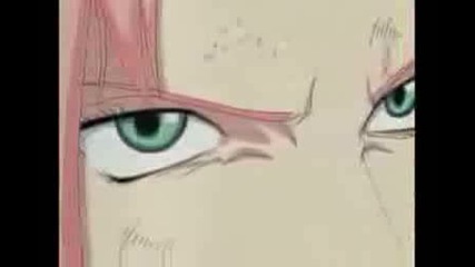 Sakura Time Of Dying