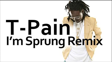 T-pain - Im Sprung 2 [ Remix ]