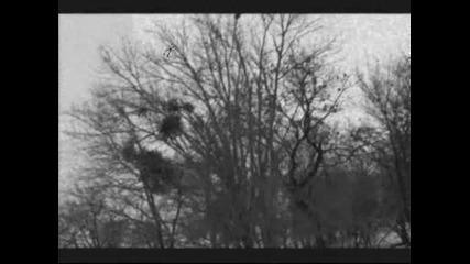 porker draw - saw in the head.wmv