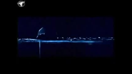 Nana - Dreams