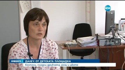Без кестени и рози близо до детските площадки