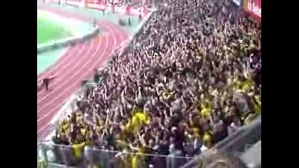 Bvb Dortmund Fans