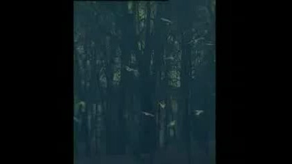 Peja - Wlasciwy wybor