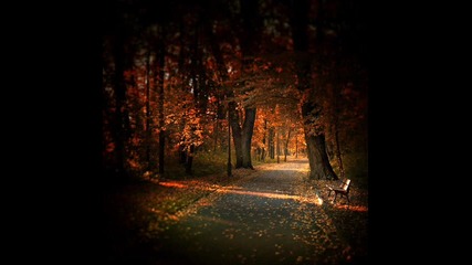 Firekites - Autumn Story 