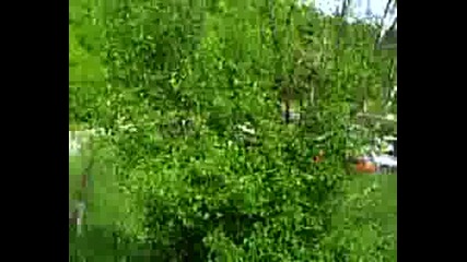 Рали Вида 2008