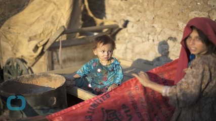 UN Goals for Global Poverty, World Hunger