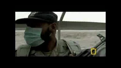 Inside Al Qaeda