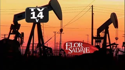 Flor Salvaje Capitulo 36 parte 1