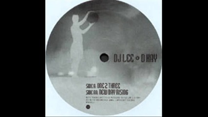 D Kay & Dj Lee - New Day Rising