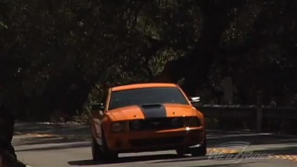 Ford Mustang Company 