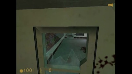 Half Life #4