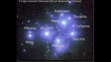 Pleiadians - Alcyone 