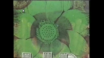 Halid Muslimovic - Samo Ti Mozes Slomiti Mi Srce