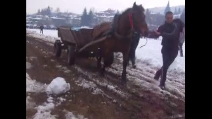 todorov den v koprivshtica