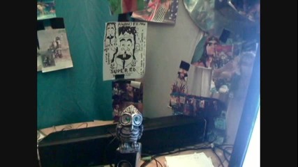 wise owl stupid bear story