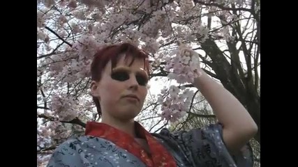 Sakura season 