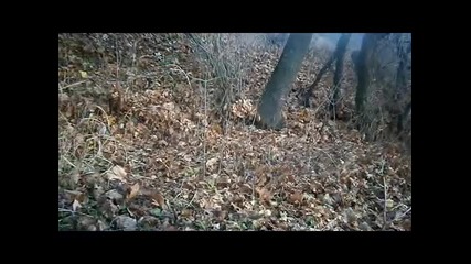 vurvq napred - Румен Марков