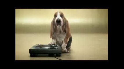 Куче Прави Beatbox