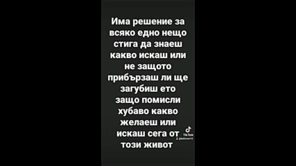 Vid_46560312_204003_483.mp4