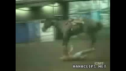 Инциденти С Коне